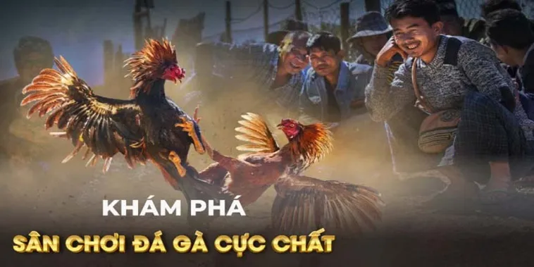 Tìm Hiểu Cách Chơi Đá Gà GA28 Tại 99OK Để Thắng Lớn Hiệu Quả 2 Tìm Hiểu Cách Chơi Đá Gà GA28 Tại 99OK Để Thắng Lớn Hiệu Quả