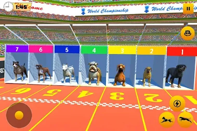 Cách Chơi Game Nhanh Đua Chó Tại 99OK Dễ Dàng Thắng Lớn 2 Cách Chơi Game Nhanh Đua Chó Tại 99OK Dễ Dàng Thắng Lớn