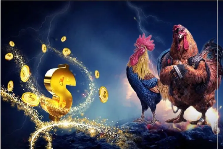 Hướng Dẫn Cách Chơi Đá Gà WS168 Tại 99OK Tối Ưu Cơ Hội Thắng Lớn 2 Hướng Dẫn Cách Chơi Đá Gà WS168 Tại 99OK Tối Ưu Cơ Hội Thắng Lớn